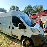 DUCATO